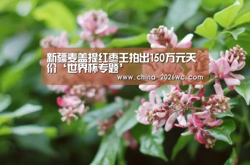 新疆麦盖提红枣王拍出150万元天价‘世界杯专题’(图2) 淘汰赛