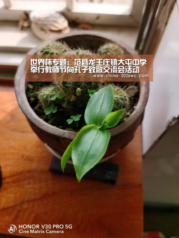 淘汰赛