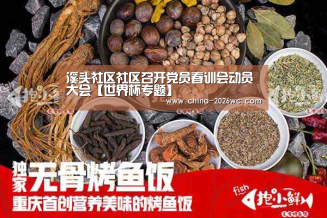 溪头社区社区召开党员春训会动员大会【世界杯专题】(图3) 淘汰赛