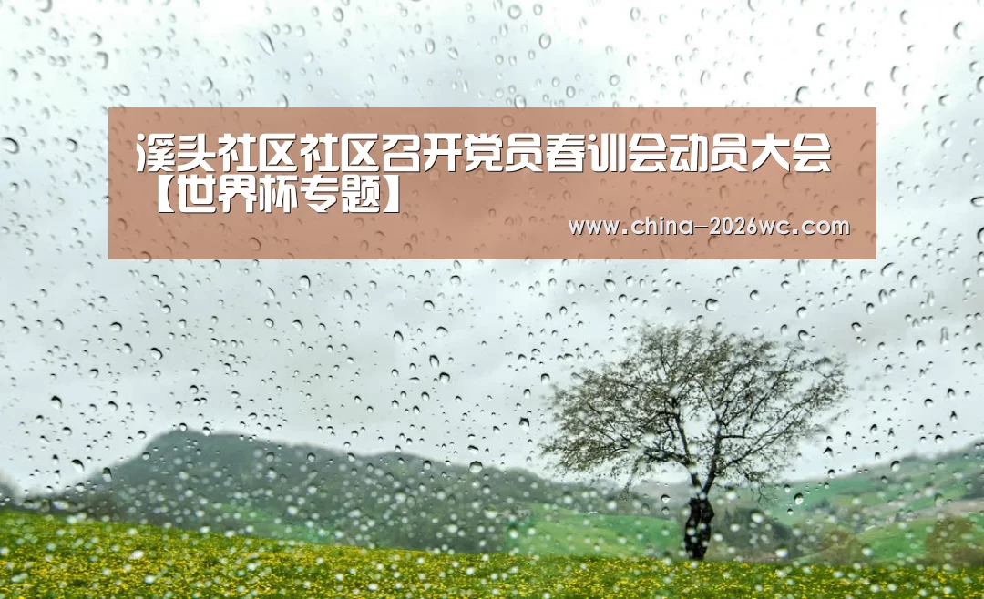 溪头社区社区召开党员春训会动员大会【世界杯专题】(图2) 淘汰赛