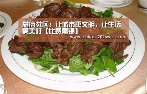 总府社区:让城市更文明,让生活更美好【比赛集锦】(图2) 淘汰赛