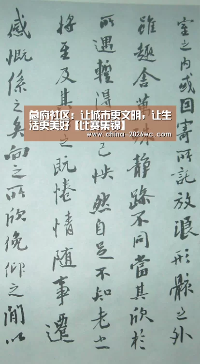 总府社区:让城市更文明,让生活更美好【比赛集锦】(图3) 球队名单