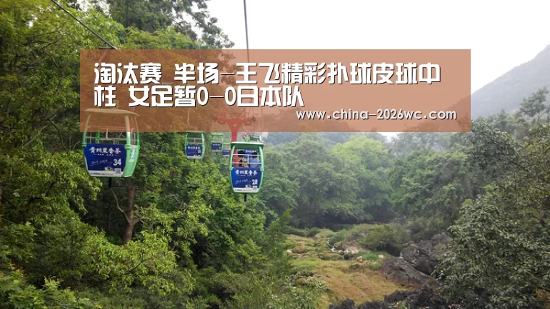 淘汰赛_半场-王飞精彩扑球皮球中柱 女足暂0-0日本队(图2) 世界杯专题